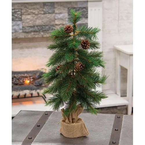 Royal Oregon Pine Tree With Burlap Base, 24"