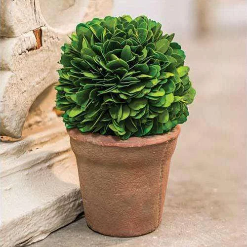 Potted Boxwood Ball, 6.5"